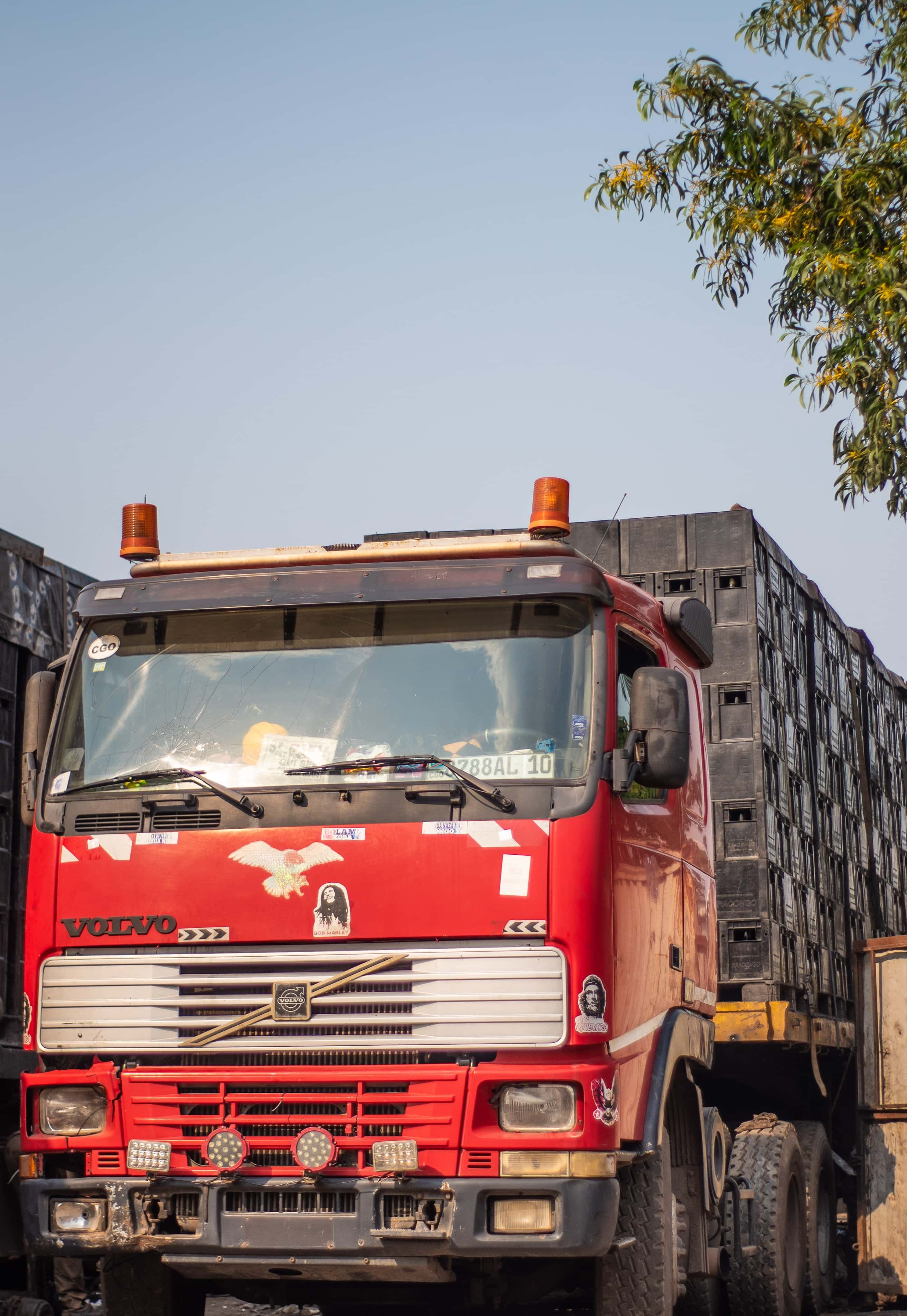  mdl trans  Gallery image