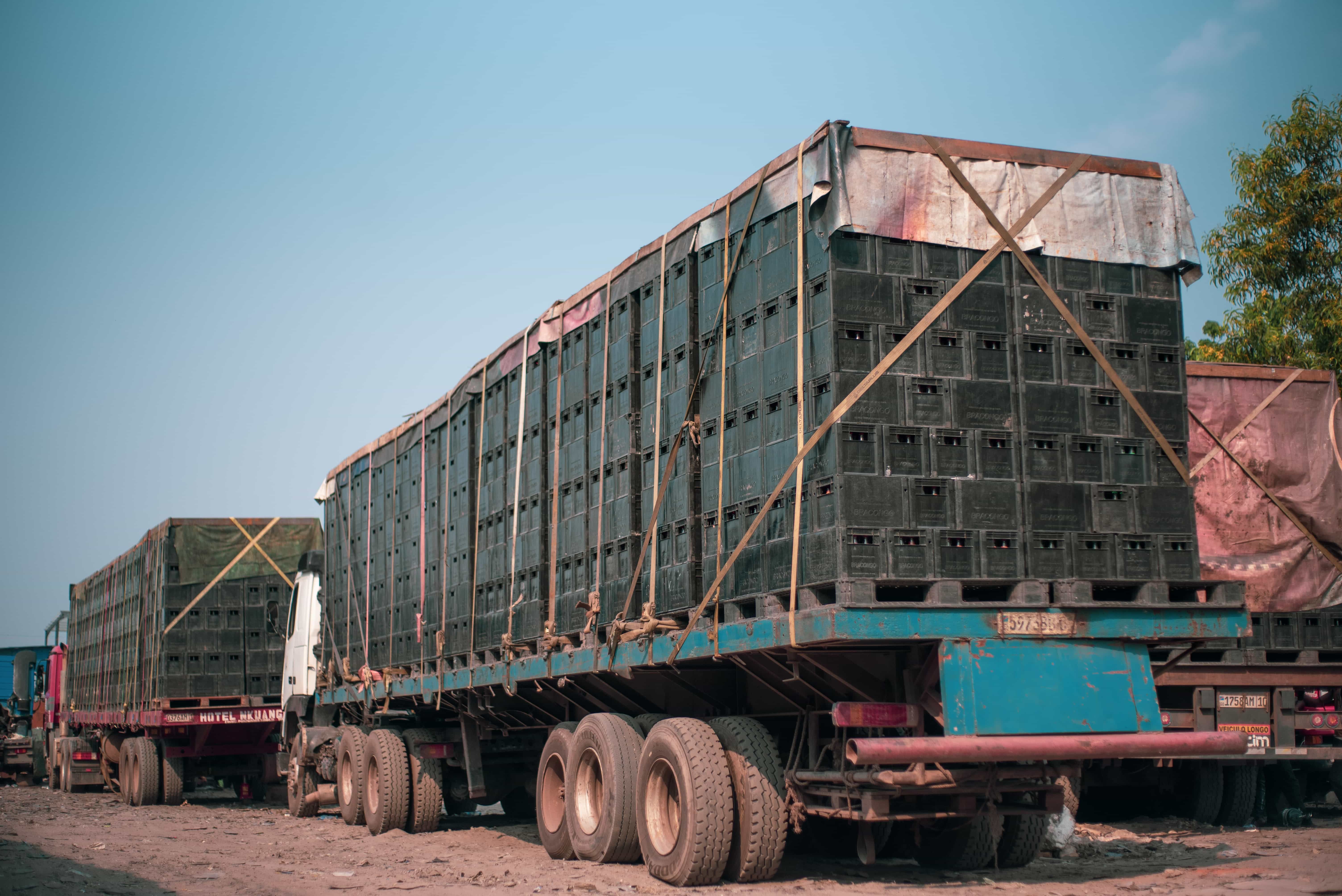  mdl trans  Gallery image